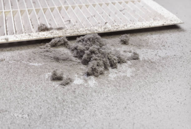 Best Local Air Duct Cleaning Services  in Taft Southwest, TX